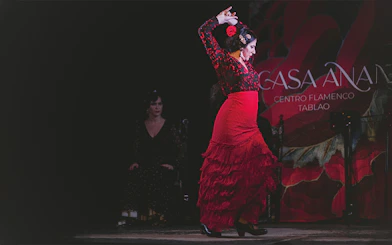 Flamenco dancer performing at Casa Ana Flamenco Show.