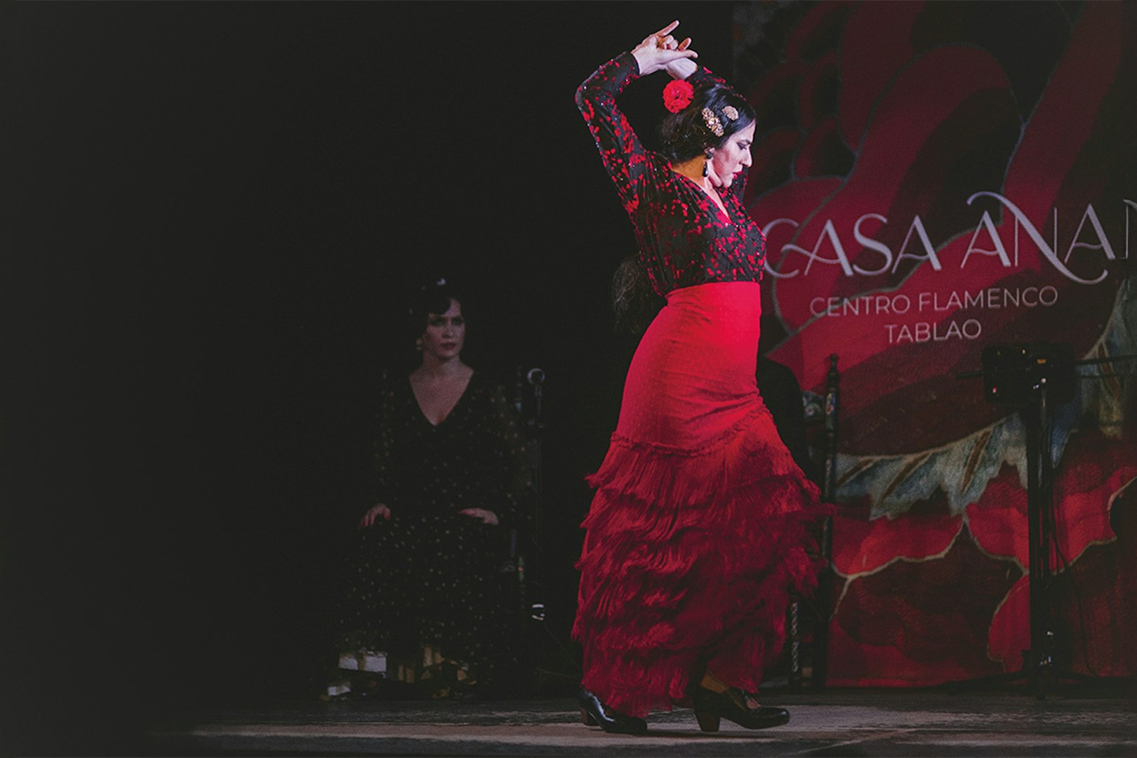 Flamenco dancer performing at Casa Ana Flamenco Show.