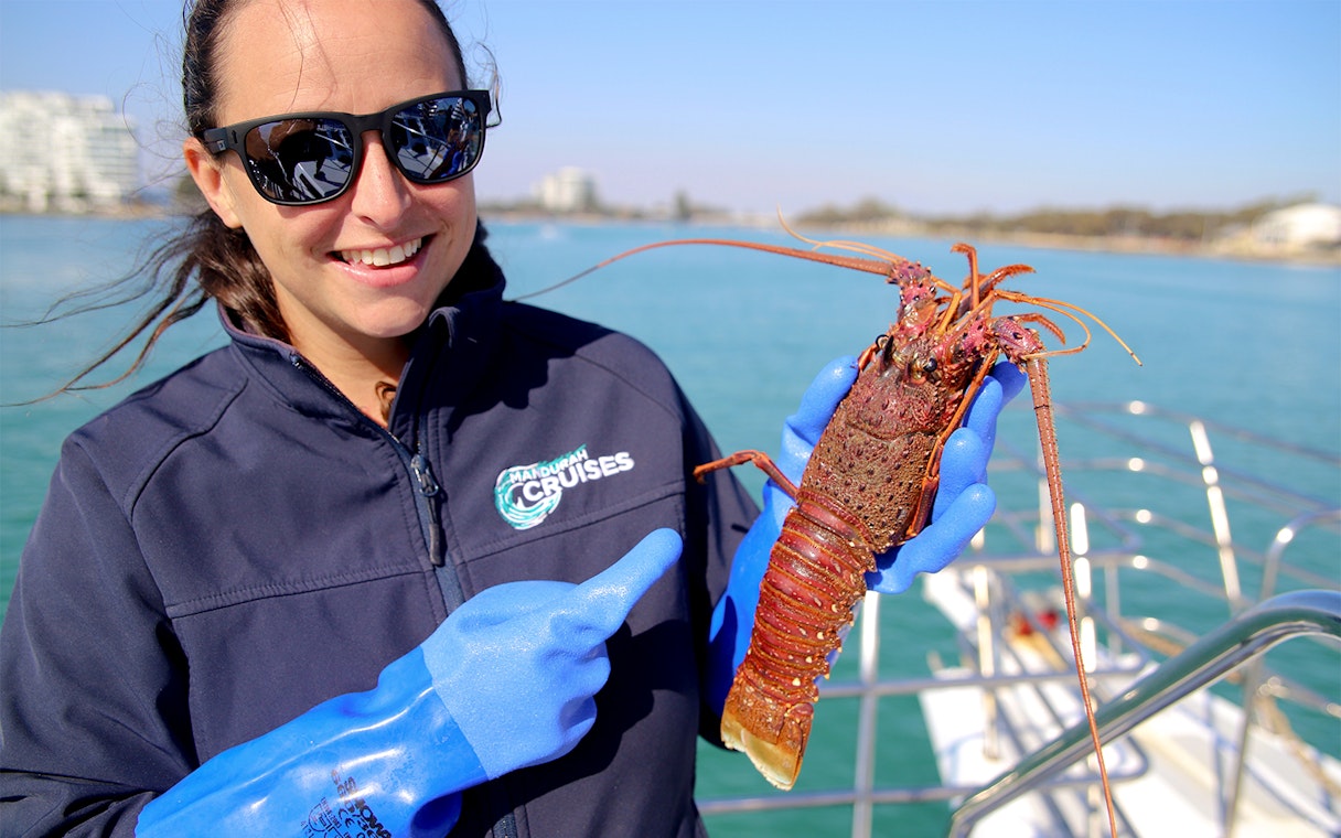 Woman on a boat holding a large lobster in gloved hands.