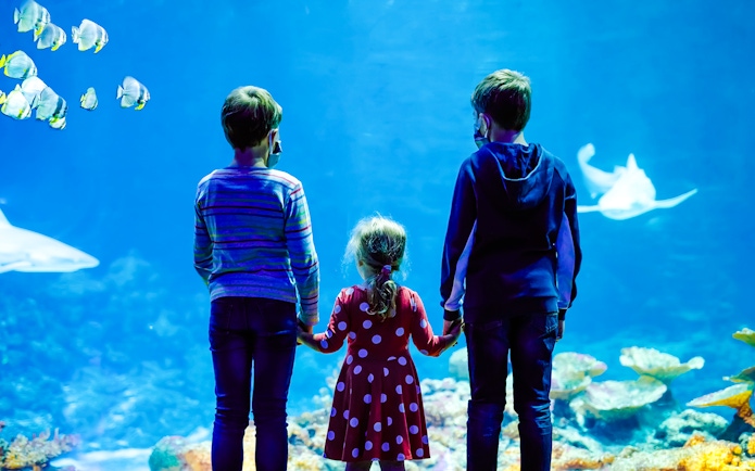Family observing fish and a shark at an aquarium exhibit.