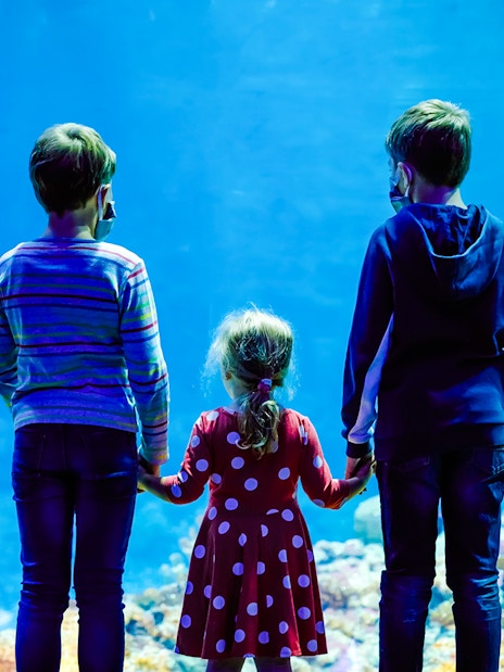 Family observing fish and a shark at an aquarium exhibit.