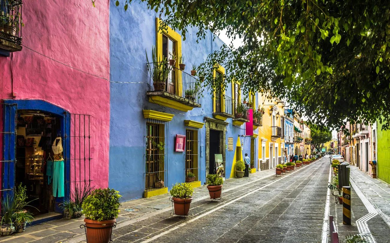 Colorful colonial street in Mexico City with vibrant buildings and potted plants.