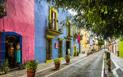 Colorful colonial street in Mexico City with vibrant buildings and potted plants.