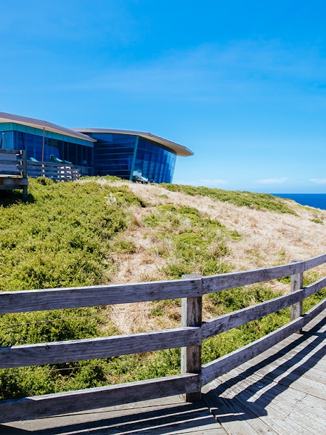 Coastal boardwalk leading to modern building on Phillip Island, Australia.
