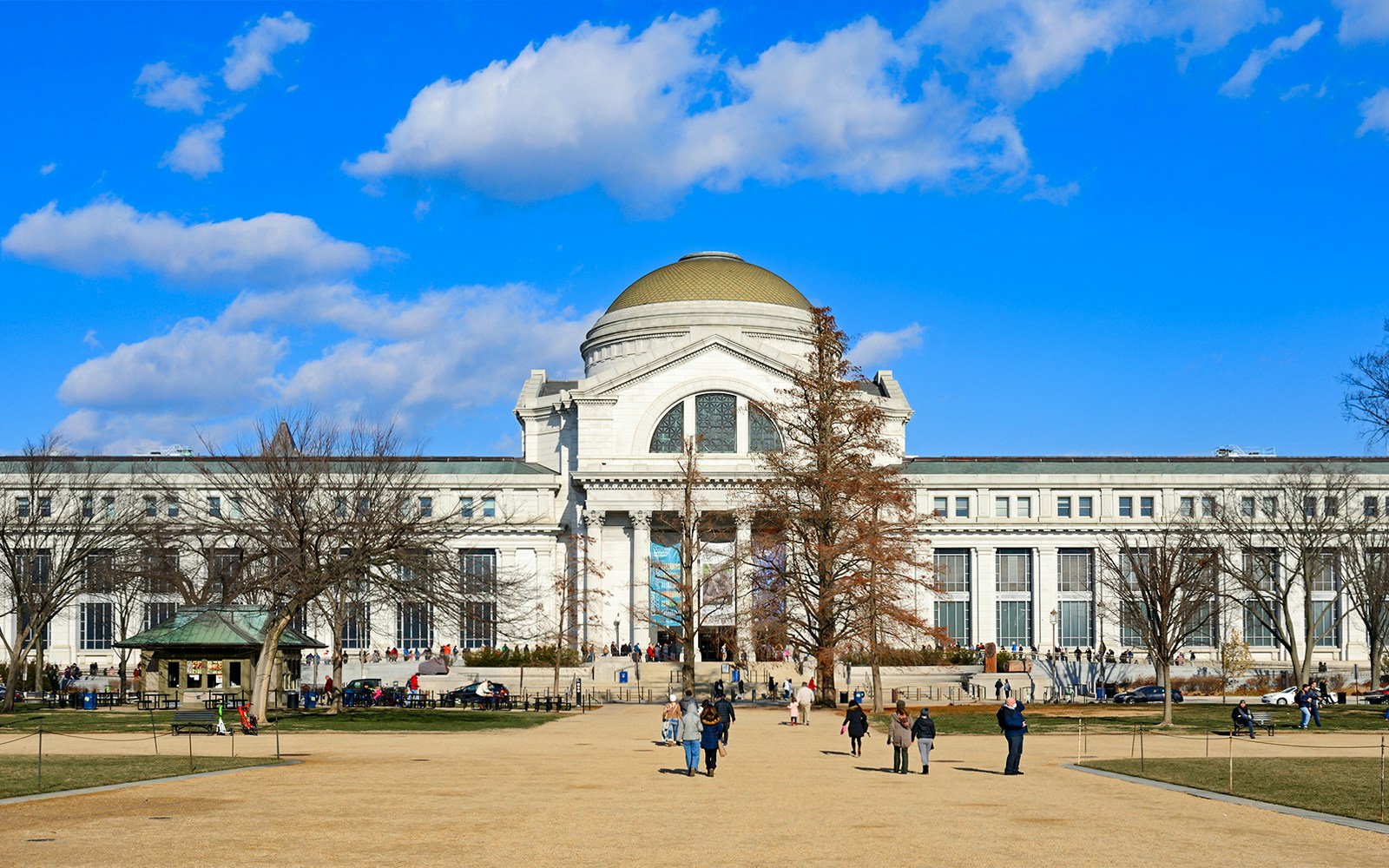 National Museum of Natural History entrance, Washington D.C., showcasing iconic architecture.