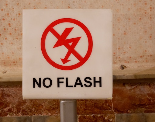 Quokka at Featherdale Wildlife Park