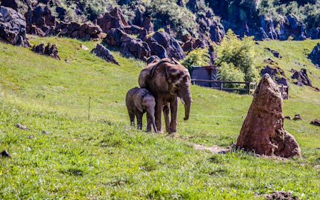 From Santander: Cabárceno Nature Park Small-Group Guided Tour with Cable Car and Hotel Transfers