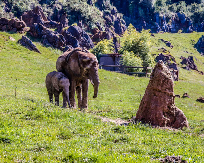 From Santander: Cabárceno Nature Park Small-Group Guided Tour with Cable Car and Hotel Transfers