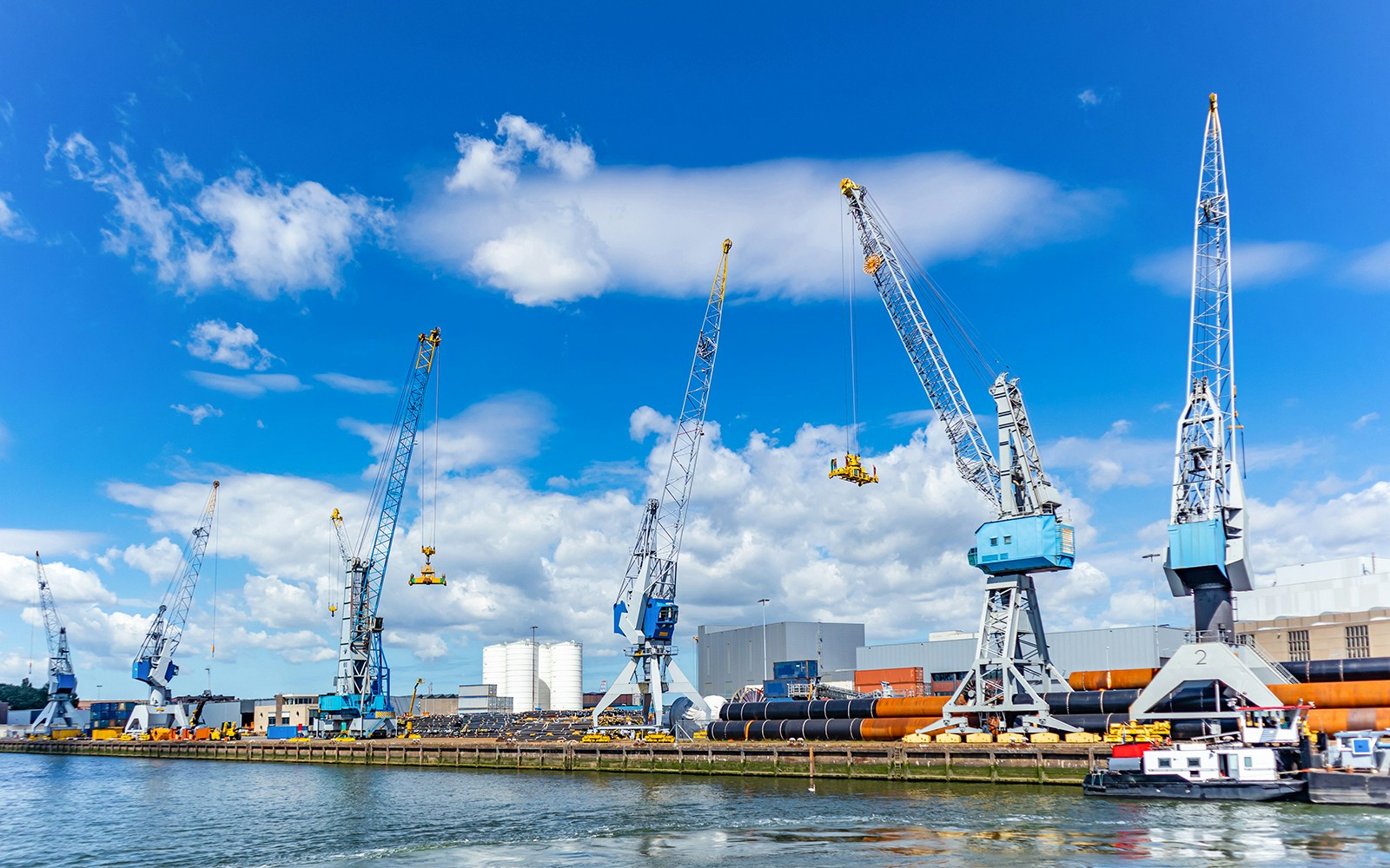 rotterdam cruises
