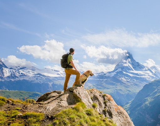 Man hiking with dog on mountain trail, overlooking snowy peaks in Switzerland.