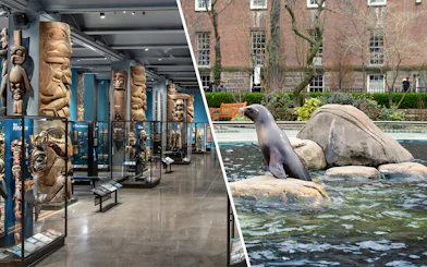 American Museum of Natural History exhibits and sea lion at Central Park Zoo, New York City.