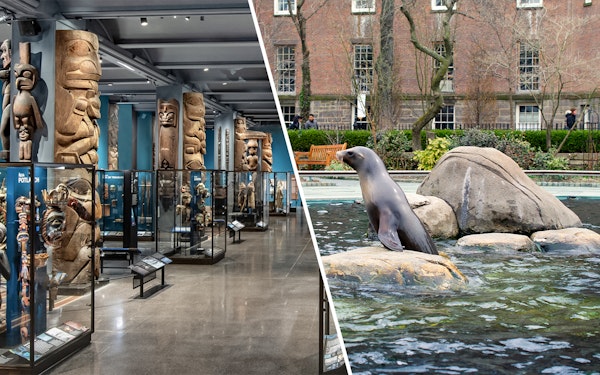 Combo: American Museum of Natural History + Central Park Zoo Tickets