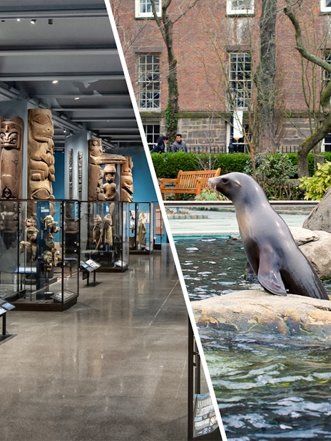 American Museum of Natural History exhibits and sea lion at Central Park Zoo, New York City.