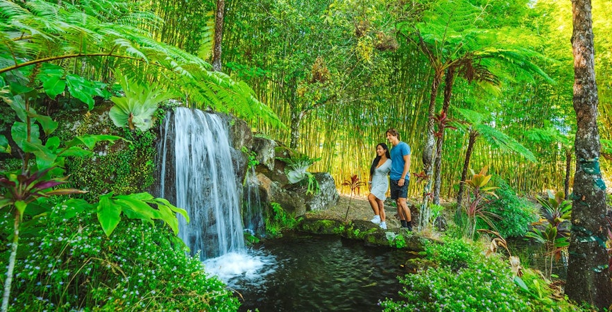 Maleny Botanic Gardens and Bird World Entry Ticket