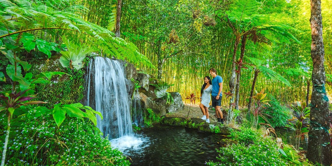 Maleny Botanic Gardens and Bird World Entry Ticket