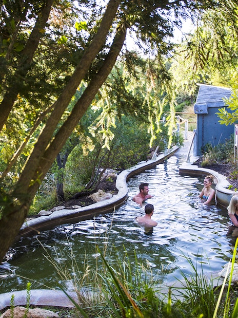 Families enjoying natural thermal pools at Peninsula Hot Springs surrounded by lush greenery.