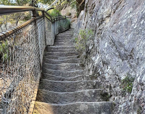 Furber steps