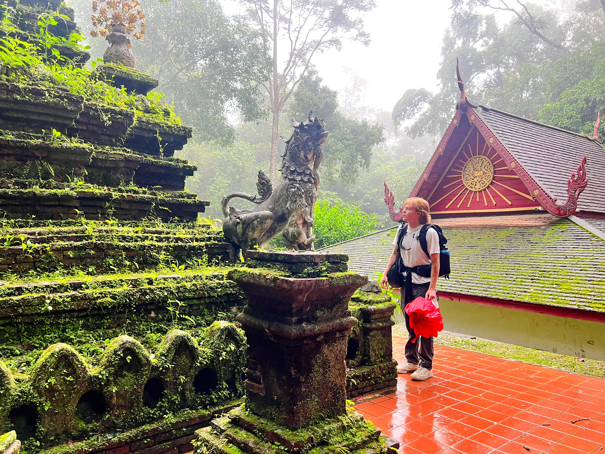 Chiang Mai Sunrise Almsgiving & Local Morning Market Walk