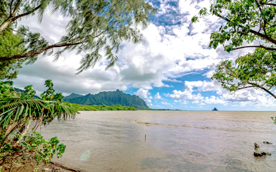 Kualoa Ranch coastline with lush greenery and distant mountains in Oahu, Hawaii.
