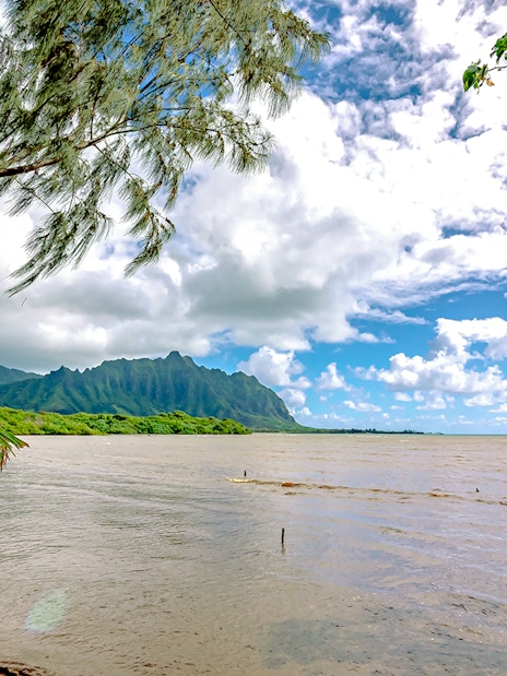Kualoa Ranch coastline with lush greenery and distant mountains in Oahu, Hawaii.