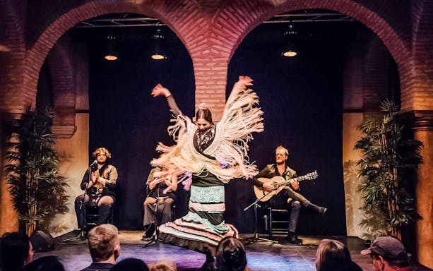Flamenco dancer performing at Dance Museum with musicians in the background.
