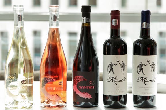 guided tour of dobrogea & wine tasting at histria winery-7