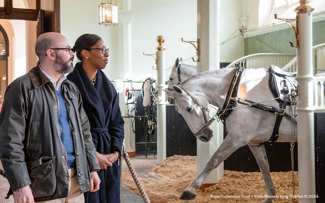 Visitors observing a white horse in harness at the Royal Mews stables.