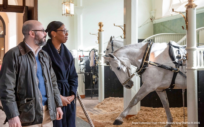 Visitors observing a white horse in harness at the Royal Mews stables.