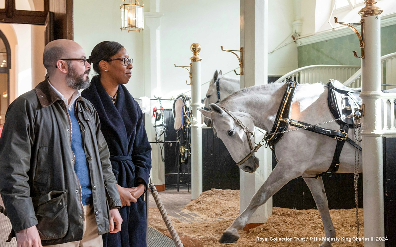 Visitors observing a white horse in harness at the Royal Mews stables.