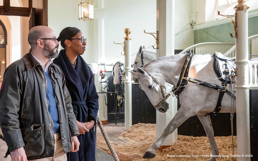 Visitors observing a white horse in harness at the Royal Mews stables.