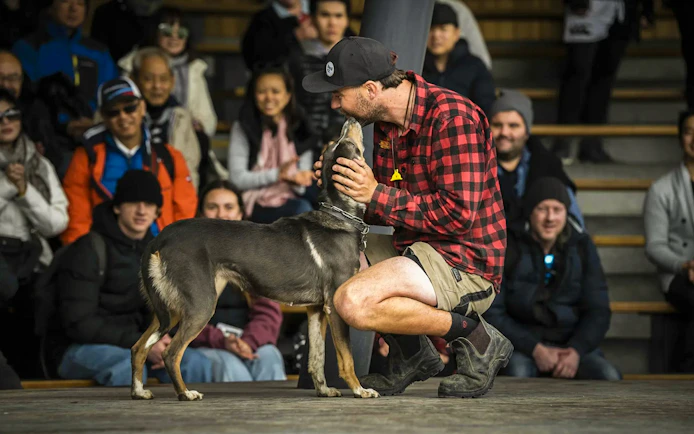 Handler with sheepdog during farm show at Walter Peak, Queenstown.