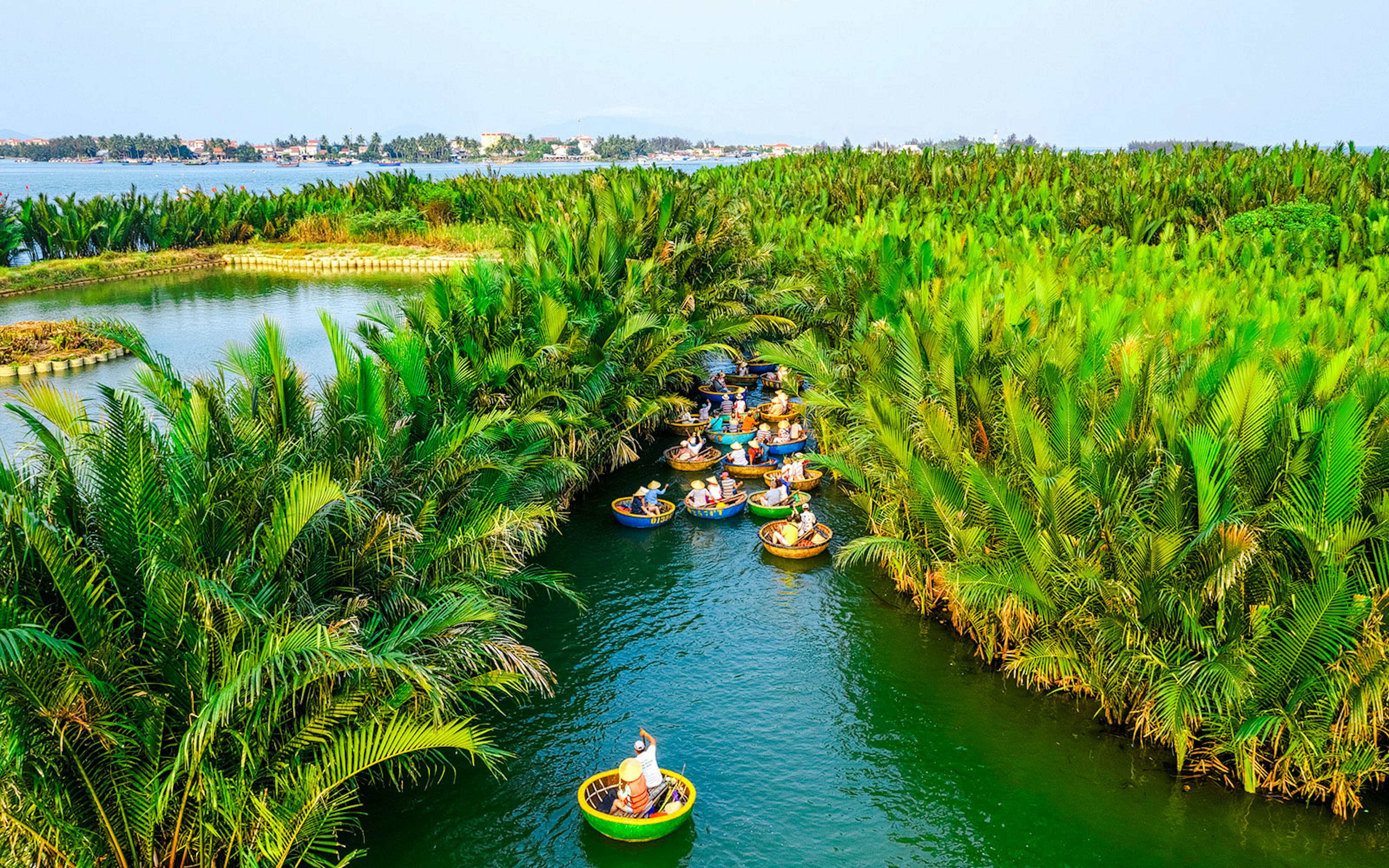 Aerial view of coconut basket boats navigating a lush green waterway in Vietnam.