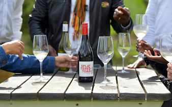 Tourists tasting wine at a table in Constantia, South Africa.