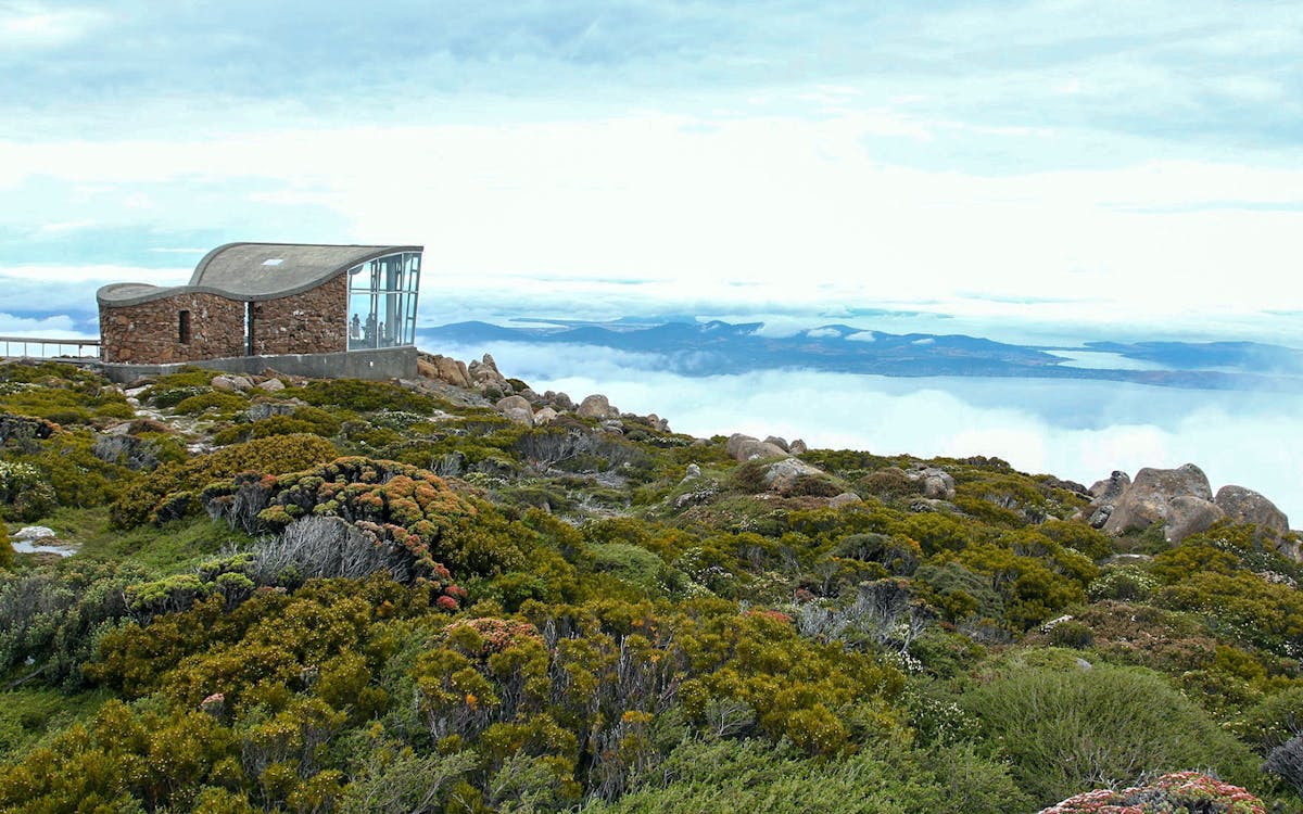 kunanyi/mt wellington explorer or one-way bus pass-6 kunanyi/mt wellington explorer or one-way bus pass-6
