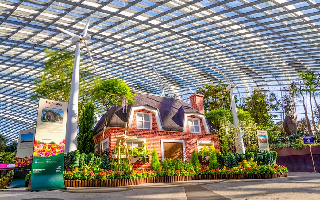 Brick house surrounded by tulips and greenery inside a glass conservatory.
