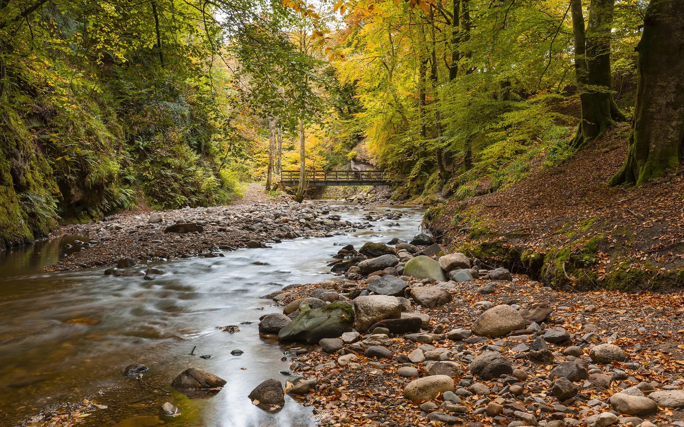 River flowing through autumn forest in Highland Perthshire, Scotland.