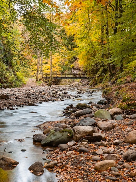 River flowing through autumn forest in Highland Perthshire, Scotland.