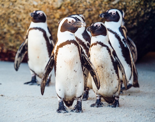 Langkawi Underwater World