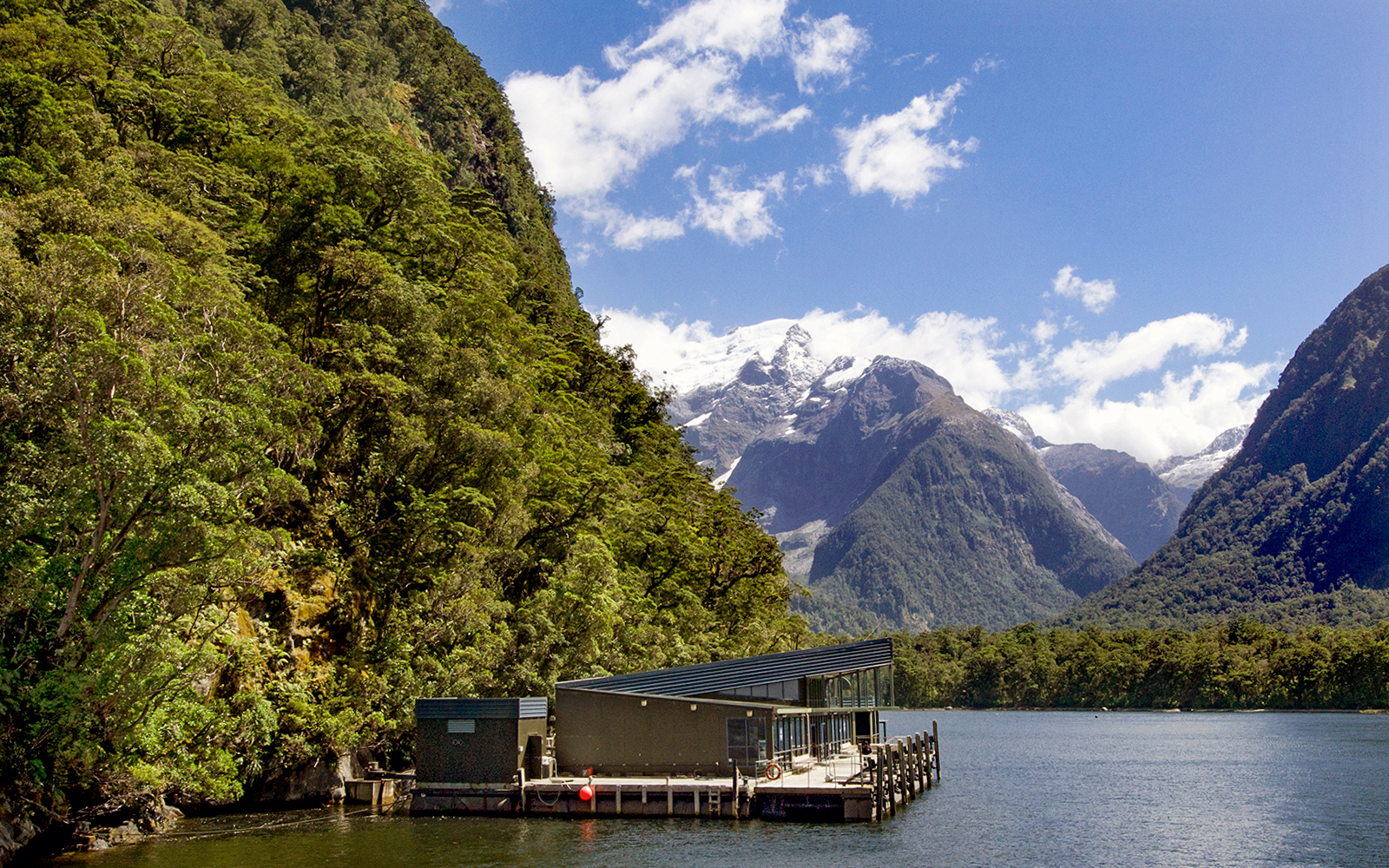 Milford Sound Underwater Observatory
