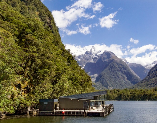 Milford Sound Underwater Observatory