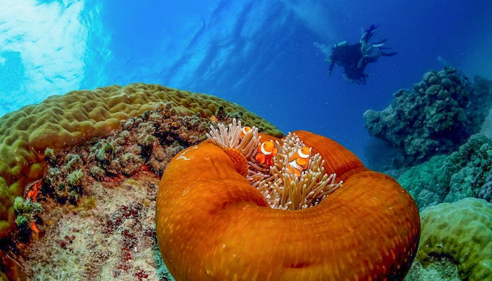 Caves of the Careless Reef in Hurghada