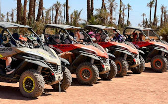 buggytur i palmeraie-ørkenen i marrakech (1000 cc)-9