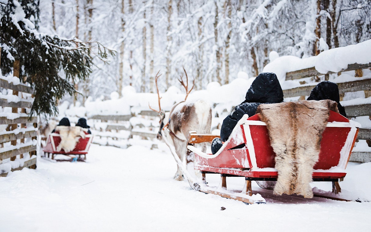 Reindeer pulling a sled through snowy forest in Lapland.