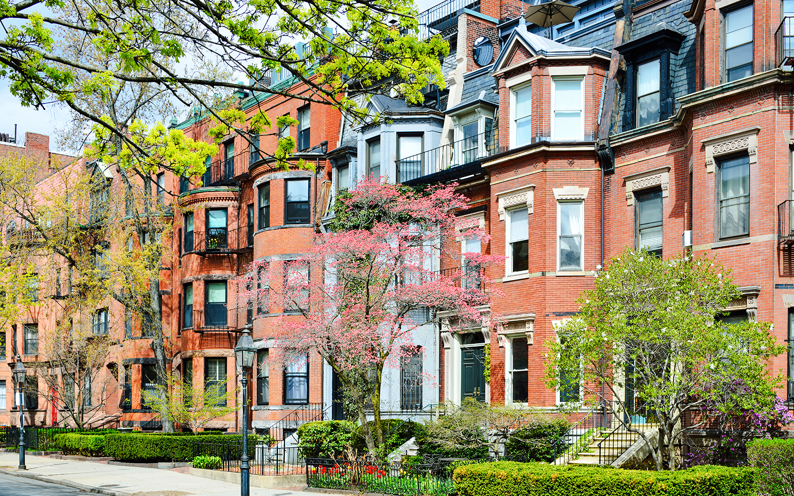 Back Bay Neighborhood