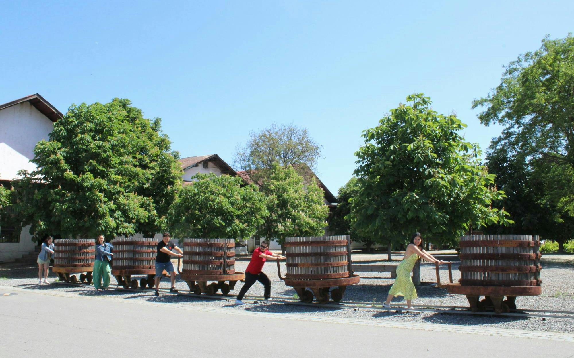 Visitors pushing historic wine barrels at Santa Rita Vineyard, Chile.