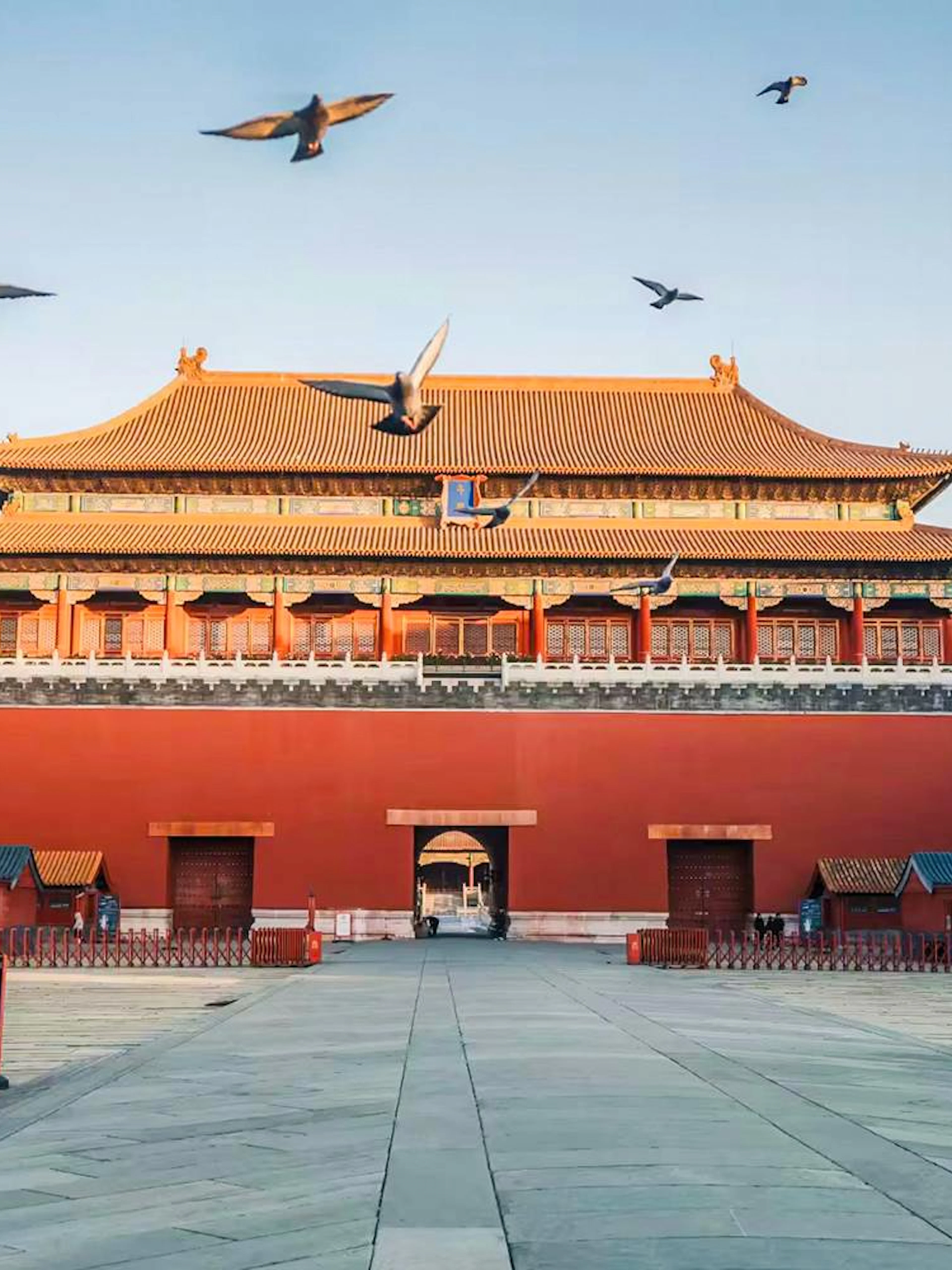 Meridian Gate of the Forbidden City in Beijing with birds flying overhead.