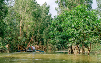 Boat navigating through lush greenery in Tam Coc, Ninh Binh.