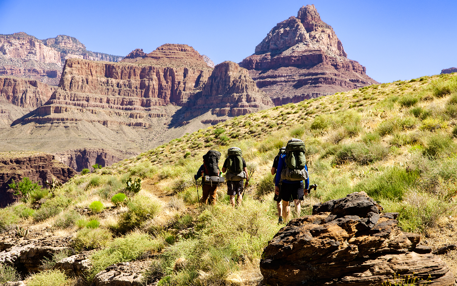 Hikers on Grandview Trail heading to Colorado River, Grand Canyon.