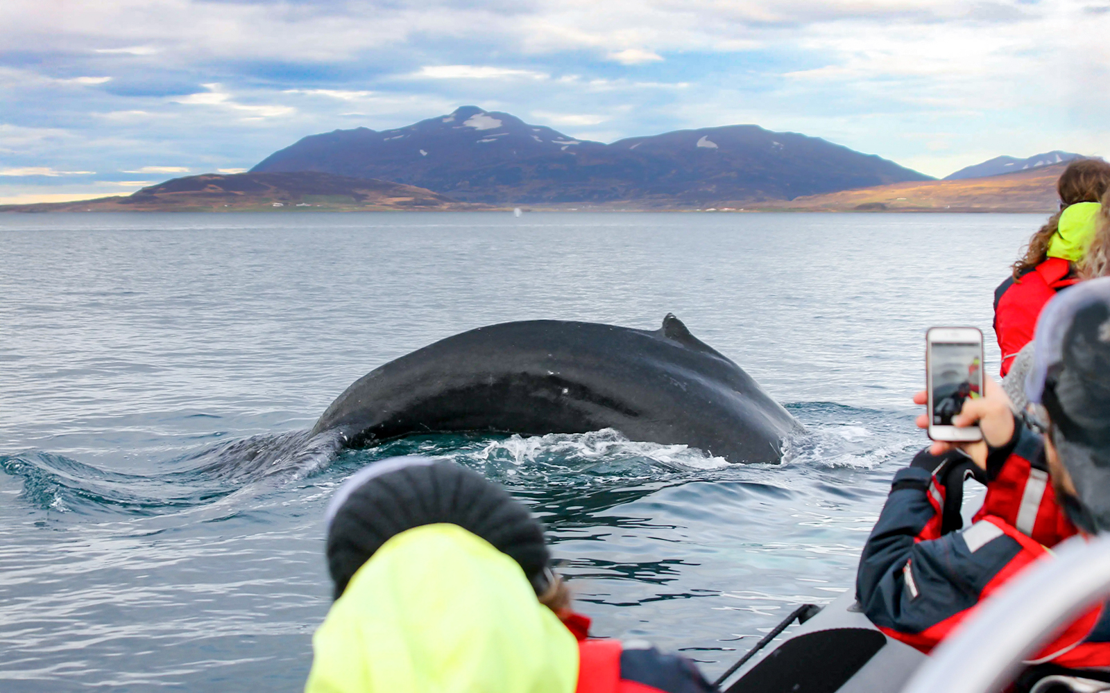 Whale tail near boat with guests taking photos during Akureyri RIB speedboat tour.