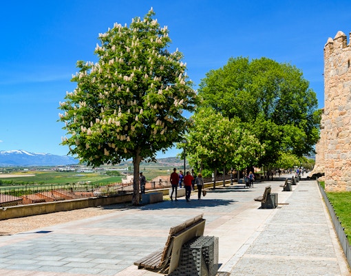 Walkway along the Walls of Ávila with trees and distant mountains, Ávila, Spain.